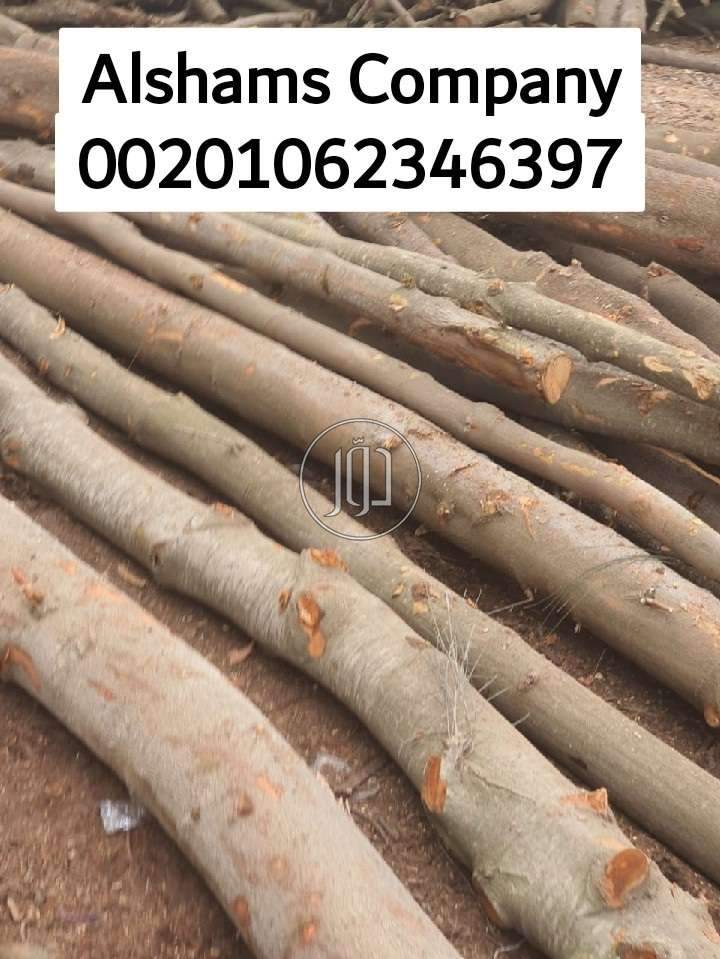 صور خدمات استيراد وتصدير في دبي - دوّر.كوم