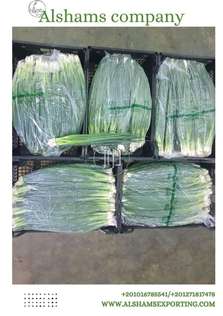 استيراد وتصدير في الامارات