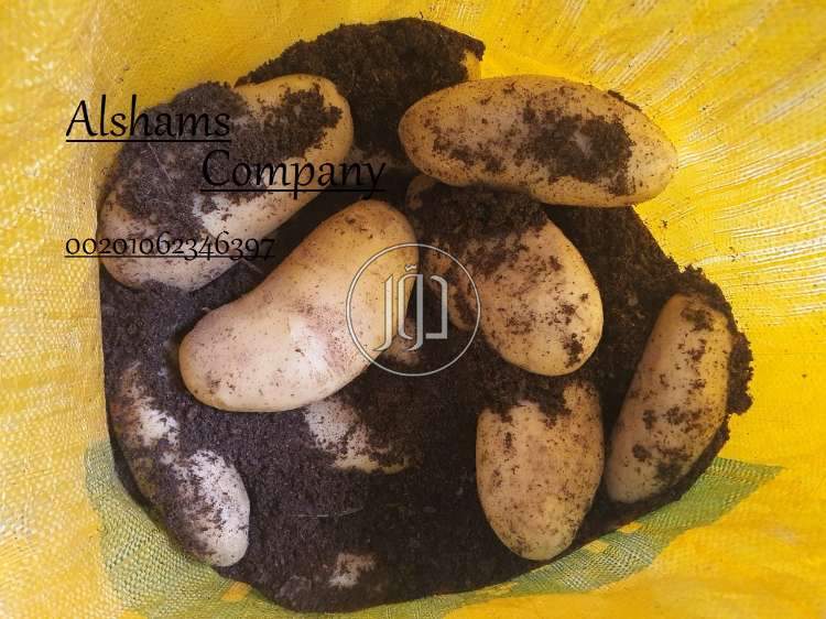 صور خدمات استيراد وتصدير في أبو ظبي - دوّر.كوم