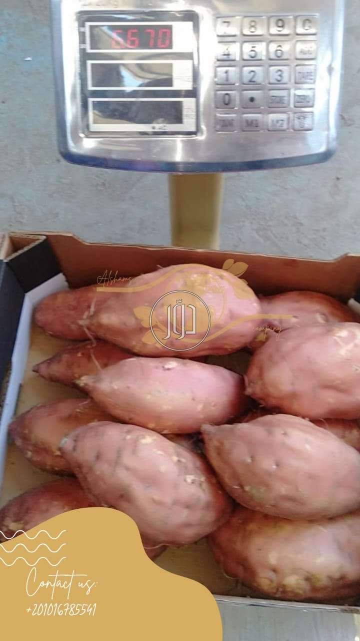 صور خدمات استيراد وتصدير في الامارات - دوّر.كوم