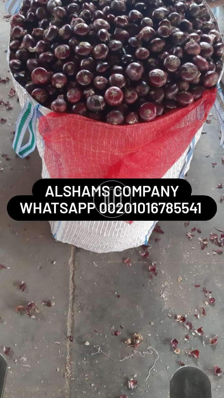 صور خدمات استيراد وتصدير في الامارات - دوّر.كوم