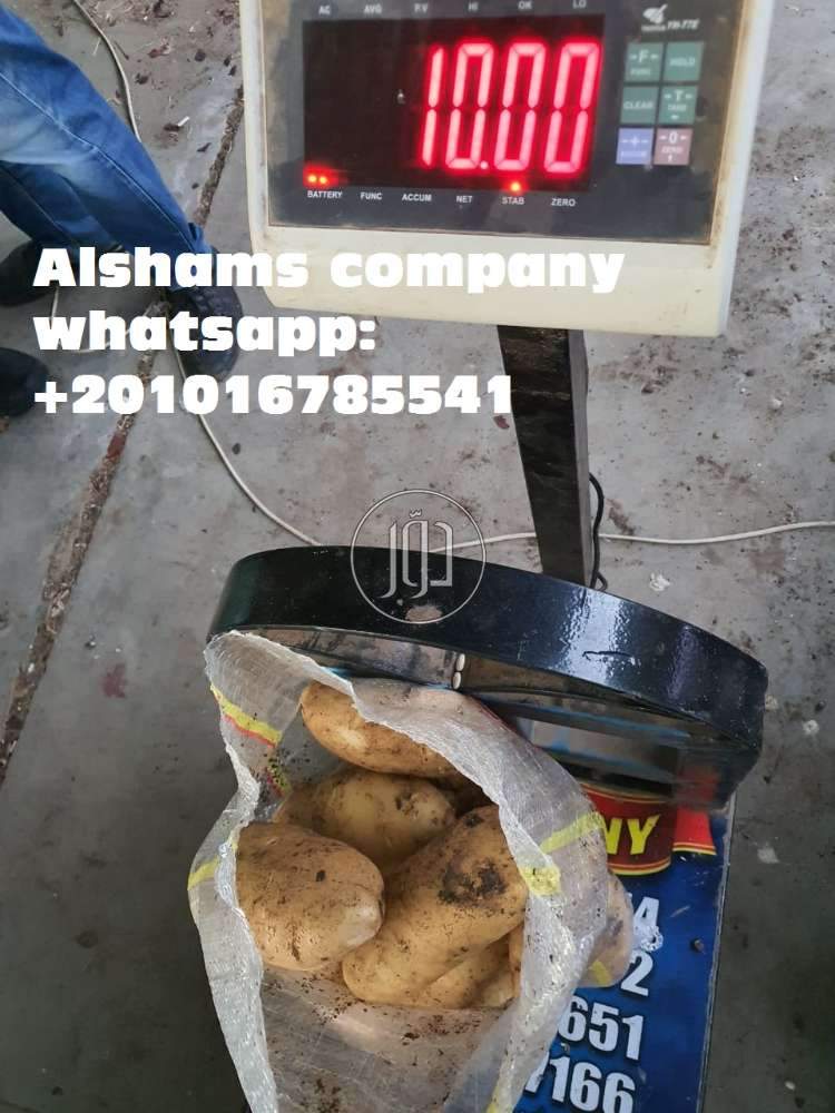 صور خدمات استيراد وتصدير في الامارات - دوّر.كوم