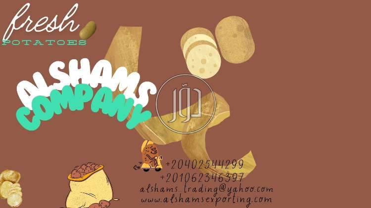 صور خدمات استيراد وتصدير في الفجيرة - دوّر.كوم