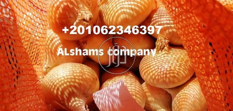 صور خدمات استيراد وتصدير في الامارات - دوّر.كوم