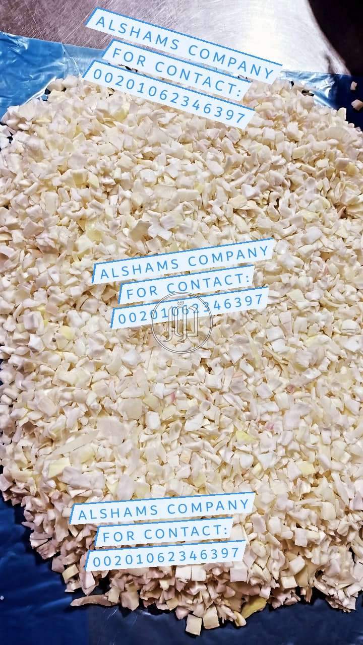 صور خدمات استيراد وتصدير في الامارات - دوّر.كوم