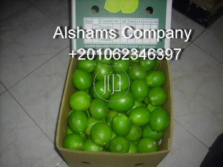 صور خدمات استيراد وتصدير في المدينة المنورة - دوّر.كوم