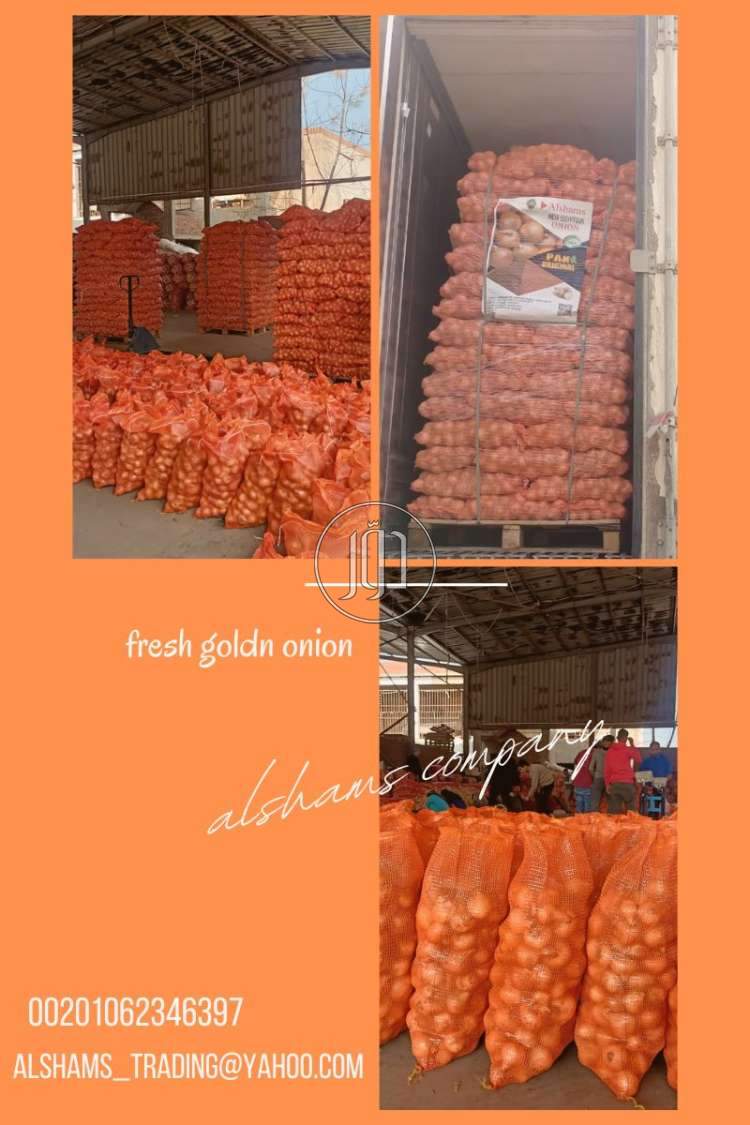 صور خدمات استيراد وتصدير في الرياض - دوّر.كوم