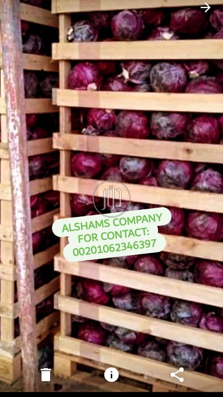 صور خدمات استيراد وتصدير في جازان - دوّر.كوم