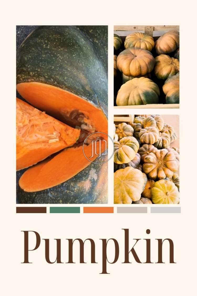 صور خدمات استيراد وتصدير في الحدود الشمالية - دوّر.كوم