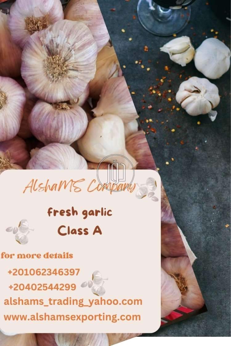 صور خدمات استيراد وتصدير في السعودية - دوّر.كوم