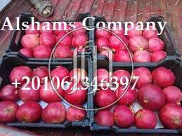 صور خدمات استيراد وتصدير في حائل - دوّر.كوم