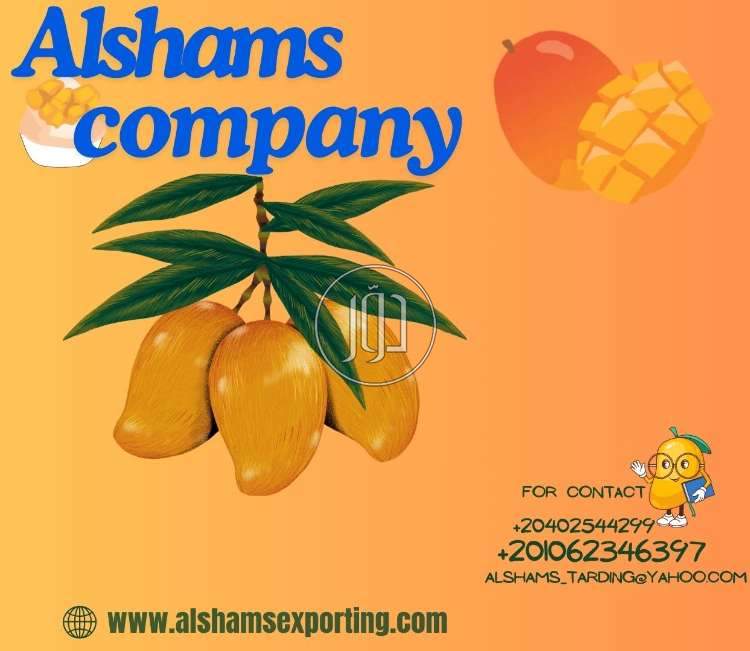 صور خدمات استيراد وتصدير في مكة المكرمة - دوّر.كوم