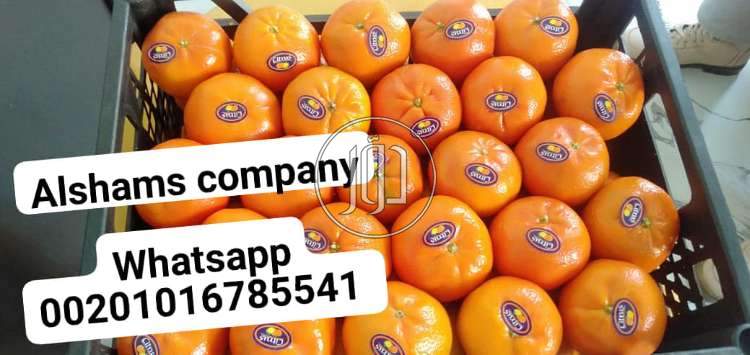 صور خدمات استيراد وتصدير في السعودية - دوّر.كوم