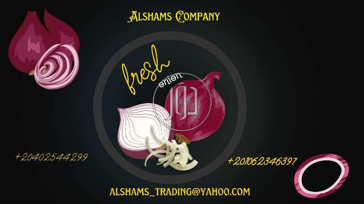 صور خدمات استيراد وتصدير في المنطقة الشرقية - دوّر.كوم