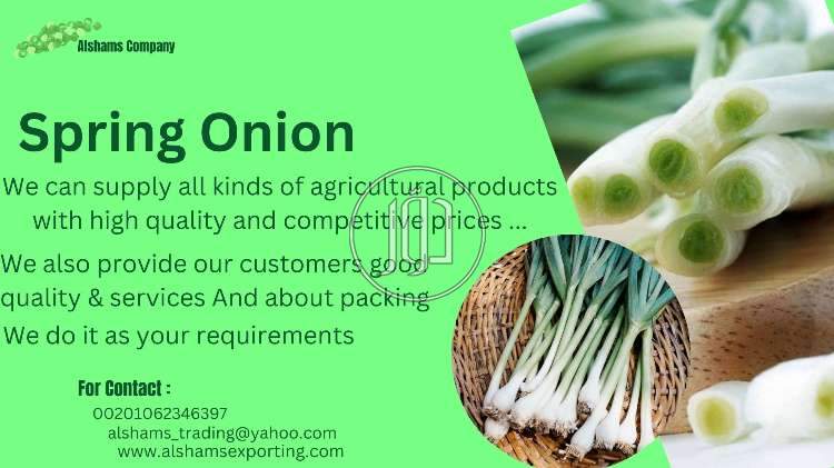 صور خدمات استيراد وتصدير في تبوك - دوّر.كوم