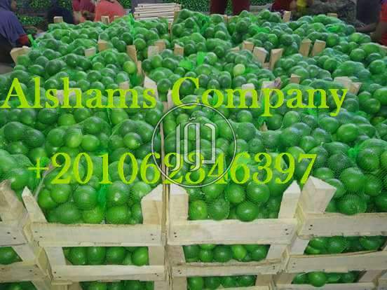 صور خدمات استيراد وتصدير في المدينة المنورة - دوّر.كوم