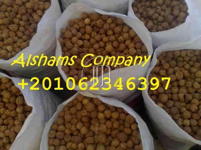 صور محاصيل وبذور زراعية في الامارات - دوّر.كوم