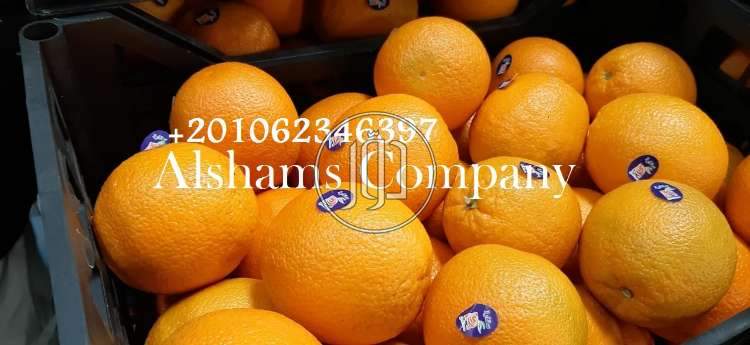 صور خدمات استيراد وتصدير في نجران - دوّر.كوم