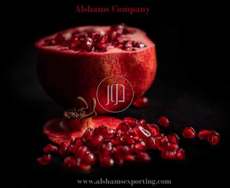 صور خدمات استيراد وتصدير في المدينة المنورة - دوّر.كوم