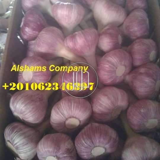 صور خدمات استيراد وتصدير في الرياض - دوّر.كوم