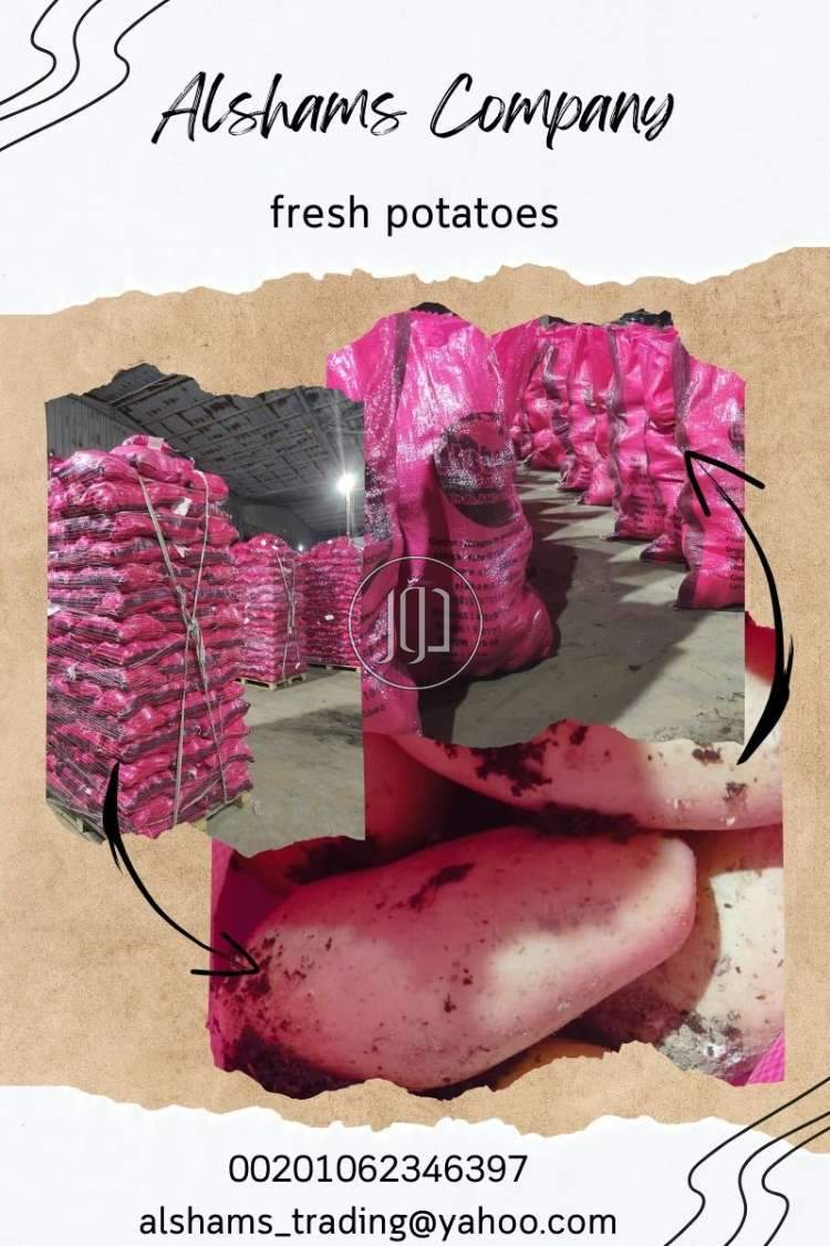 صور خدمات استيراد وتصدير في عسير - دوّر.كوم