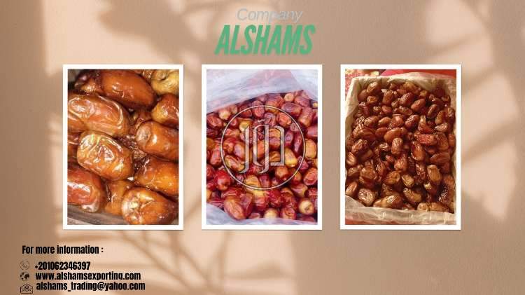 صور خدمات استيراد وتصدير في الباحة - دوّر.كوم