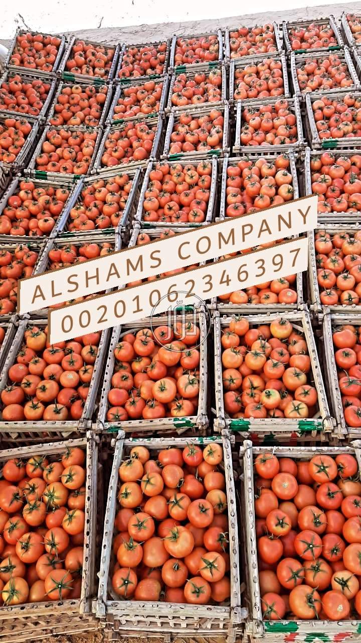 صور خدمات استيراد وتصدير في المدينة المنورة - دوّر.كوم