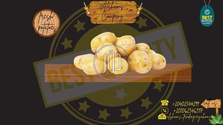 صور خدمات استيراد وتصدير في الباحة - دوّر.كوم