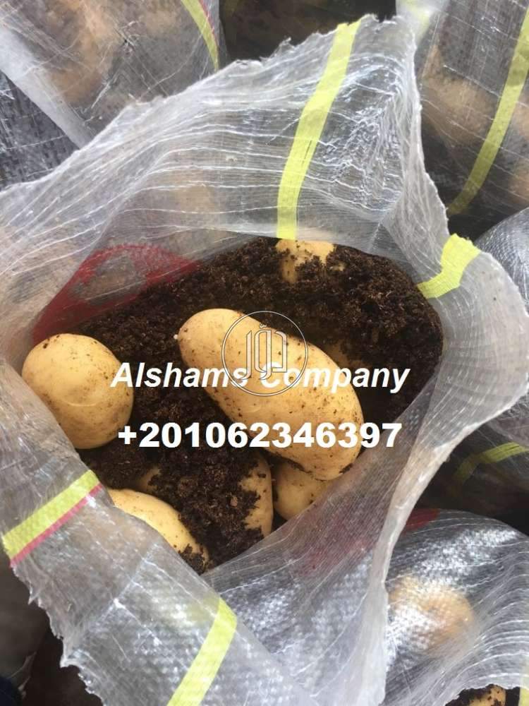 صور خدمات استيراد وتصدير في تبوك - دوّر.كوم