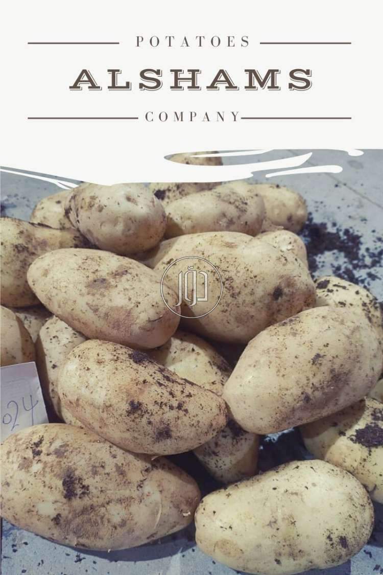 صور خدمات استيراد وتصدير في الرياض - دوّر.كوم