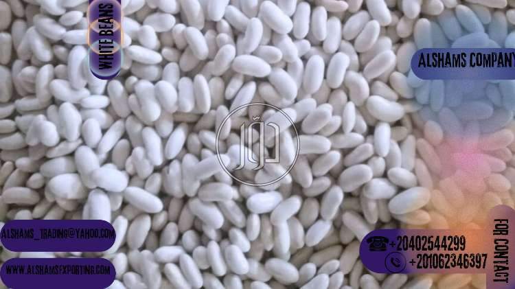 صور خدمات استيراد وتصدير في الفروانية - دوّر.كوم