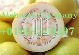 صور خدمات استيراد وتصدير في حولي - دوّر.كوم