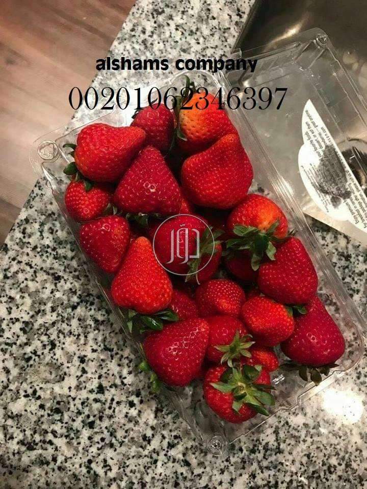 صور خدمات استيراد وتصدير في حولي - دوّر.كوم