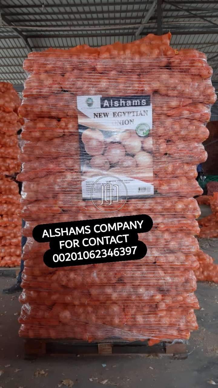 صور خدمات استيراد وتصدير في الكويت - دوّر.كوم