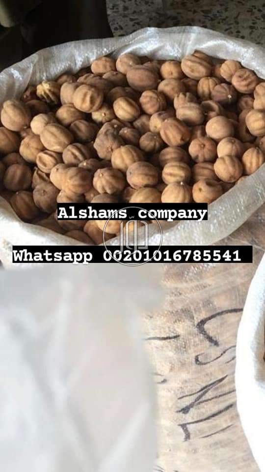 صور خدمات استيراد وتصدير في الكويت - دوّر.كوم