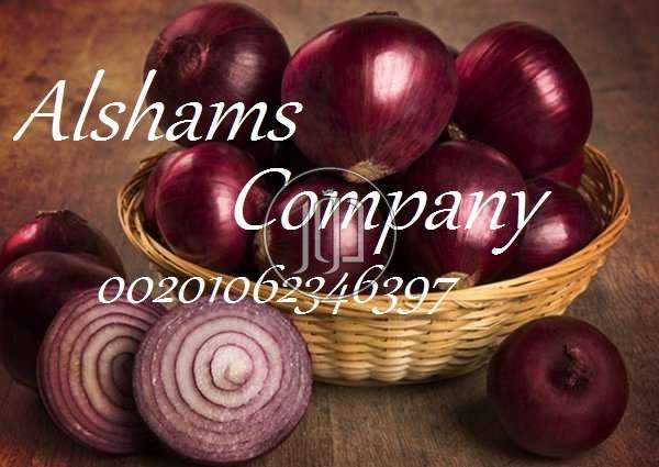 البصل الطازج - خدمات استيراد وتصدير في الكويت بالكامل