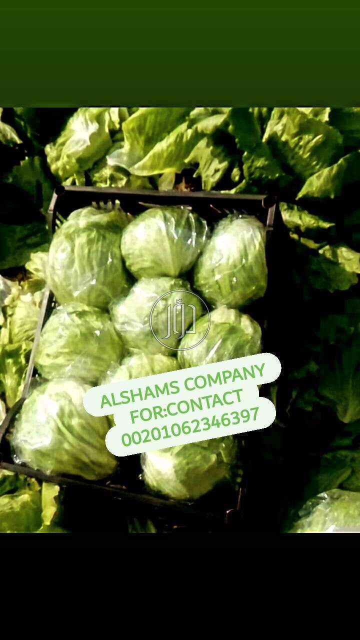 صور خدمات استيراد وتصدير في حولي - دوّر.كوم