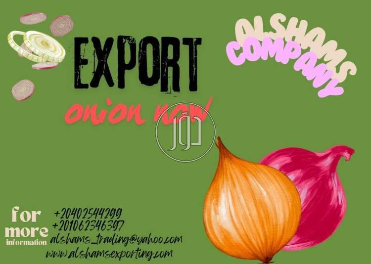 صور خدمات استيراد وتصدير في الأحمدي - دوّر.كوم