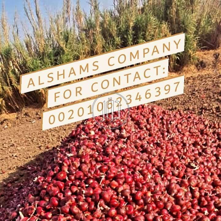 صور خدمات استيراد وتصدير في الكويت - دوّر.كوم