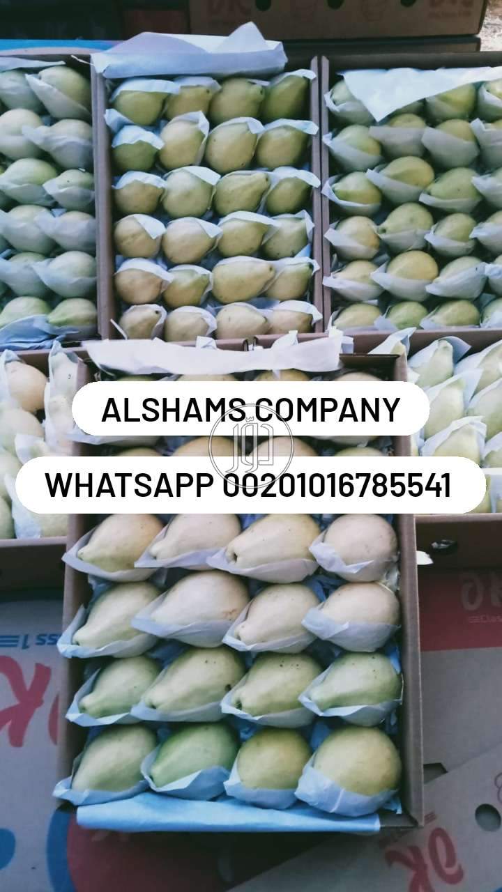 صور خدمات استيراد وتصدير في الكويت - دوّر.كوم