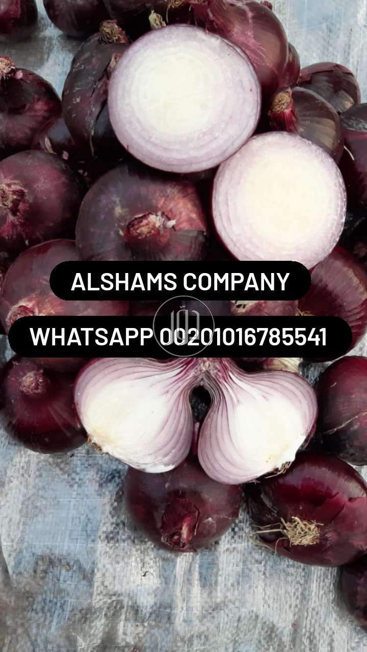 صور خدمات استيراد وتصدير في الكويت - دوّر.كوم