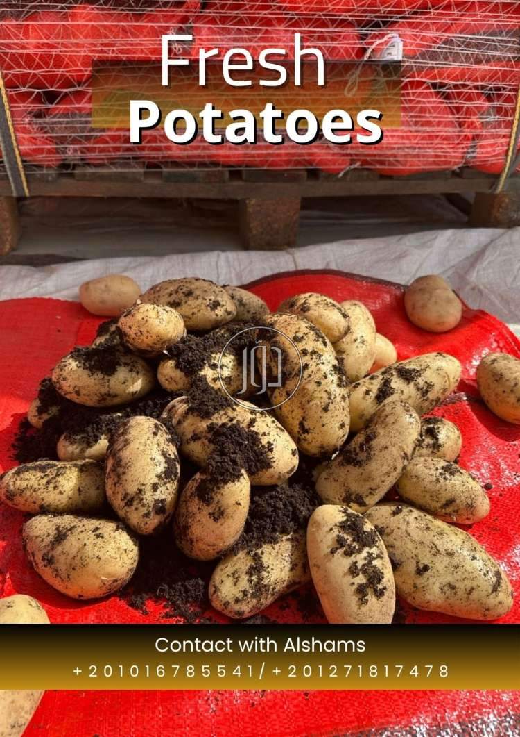 fresh potatoes