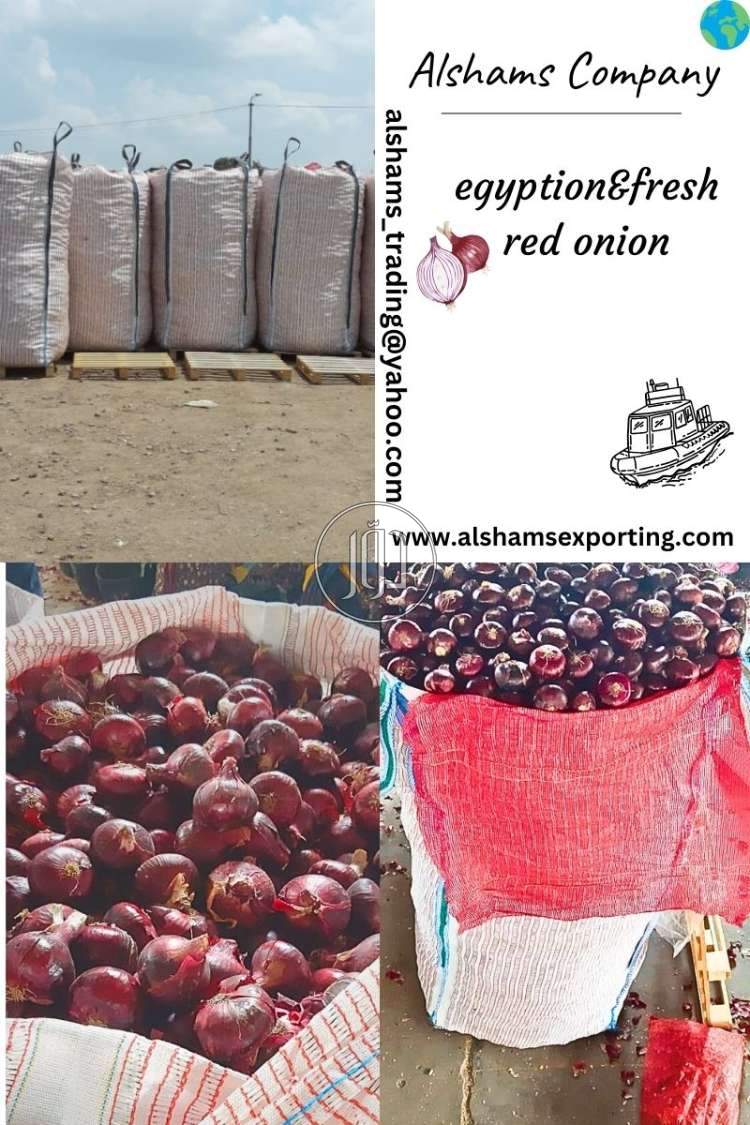 صور خدمات استيراد وتصدير في الكويت - دوّر.كوم