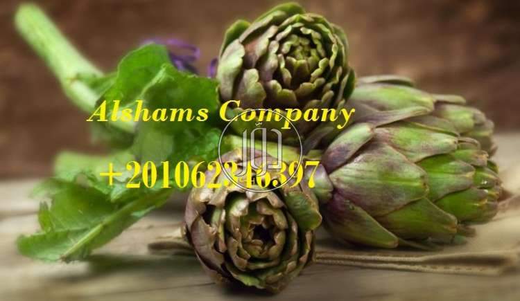 صور خدمات استيراد وتصدير في الجهراء - دوّر.كوم