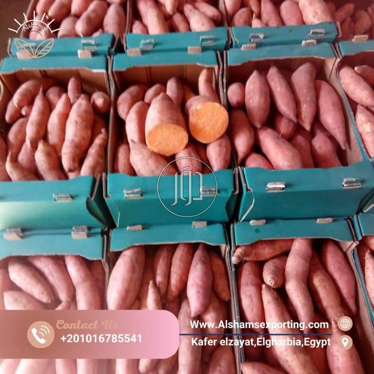 استيراد وتصدير في الكويت - دوّر.كوم