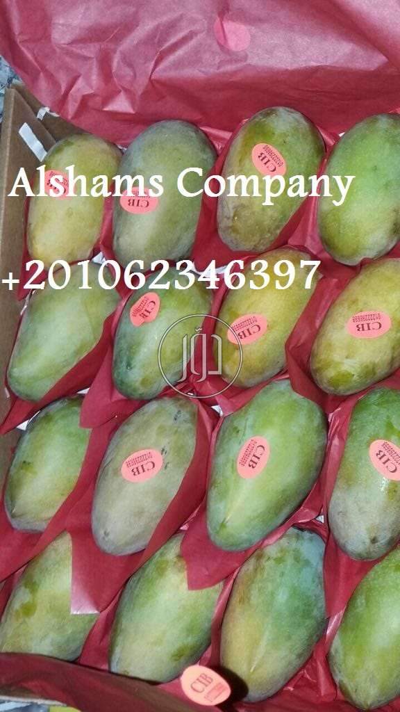 صور خدمات استيراد وتصدير في العاصمة - دوّر.كوم