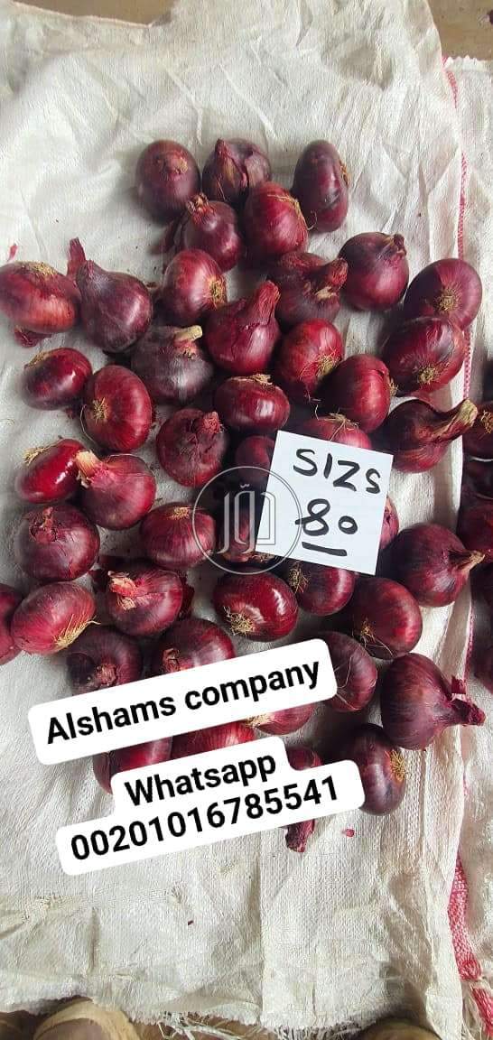 صور خدمات استيراد وتصدير في الكويت - دوّر.كوم