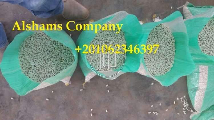 صور خدمات استيراد وتصدير في الأحمدي - دوّر.كوم