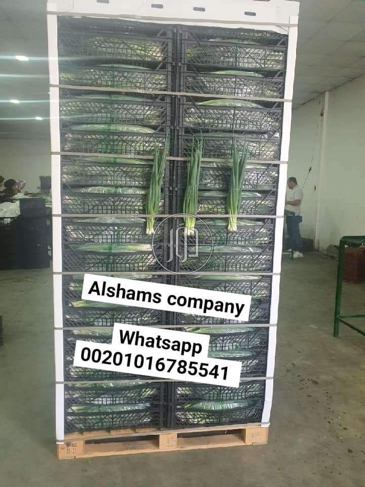 صور خدمات استيراد وتصدير في الكويت - دوّر.كوم