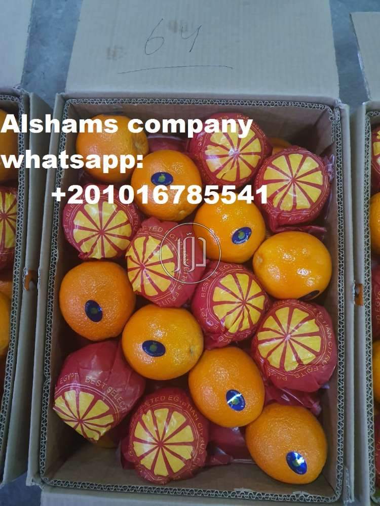 صور خدمات استيراد وتصدير في الكويت - دوّر.كوم